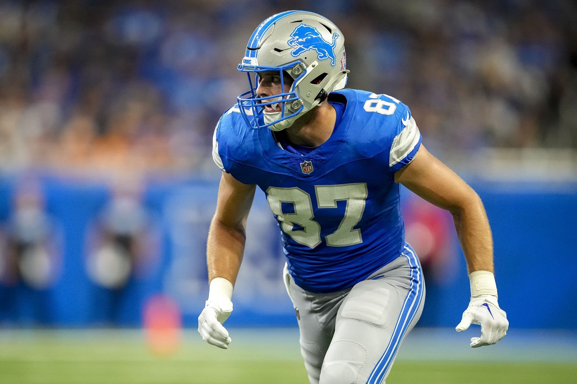 Sam LaPorta: Tampa Bay Buccaneers v Detroit Lions - Source: Getty